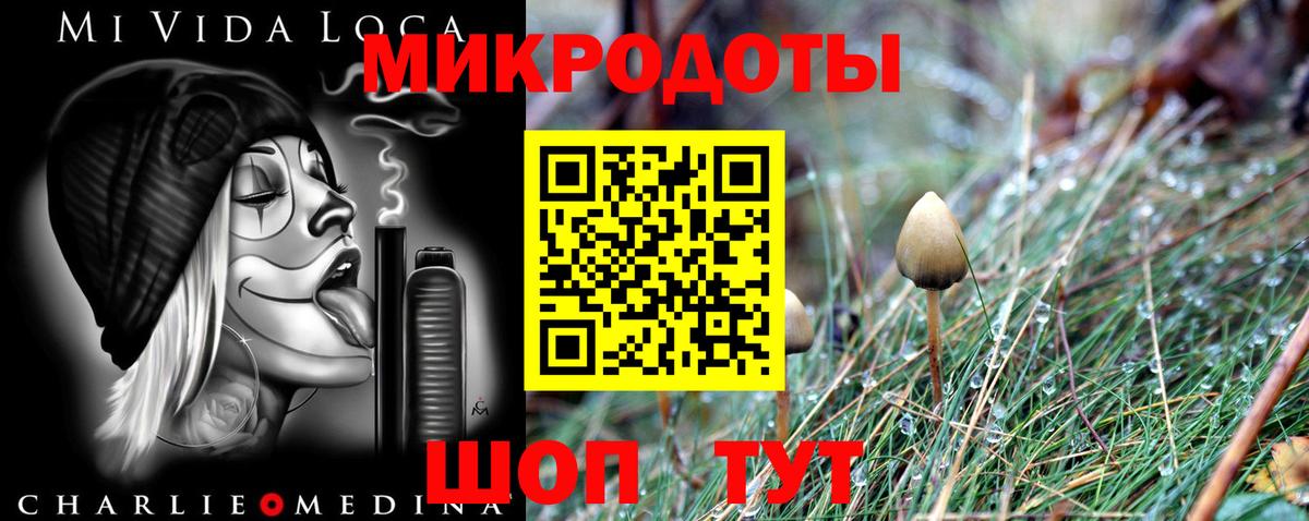 Псилоцибиновые грибы мицелий Балашов
